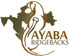 Ayaba Ridgeback Croatia