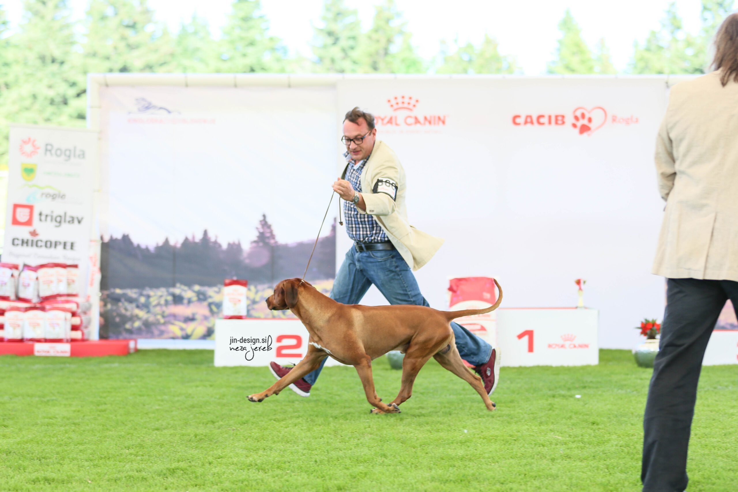 Mal Ayaba Rhodesian ridgeback Rodezijski ridžbek