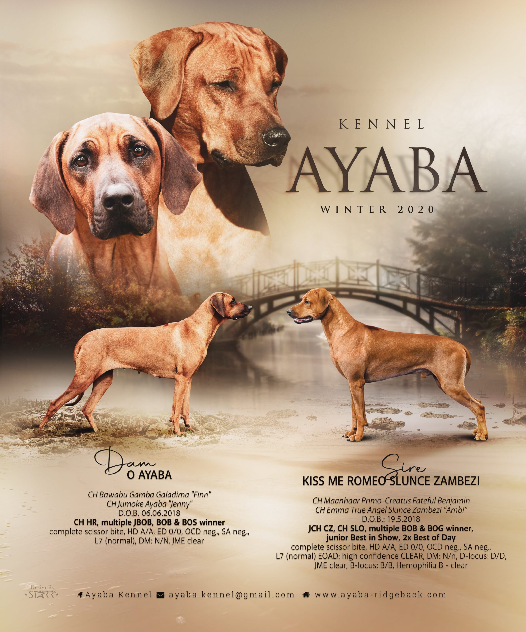 2020 Ayaba P Litter