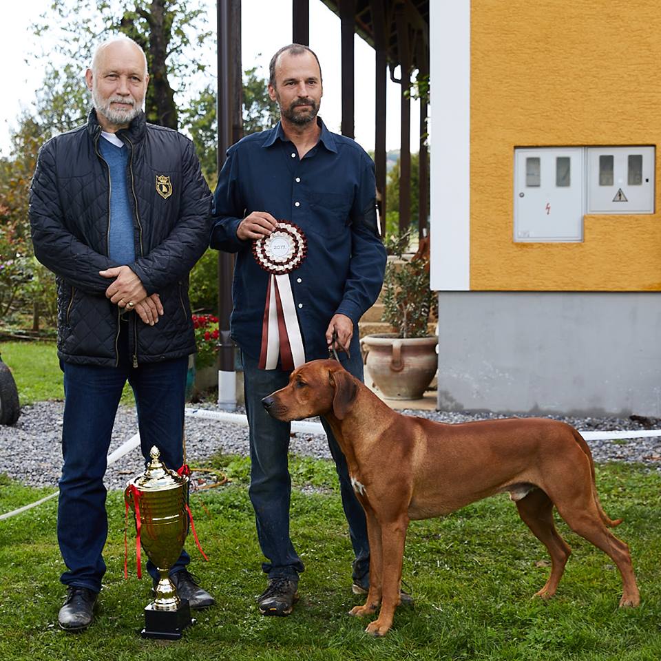 Mahlubandile Mal Ayaba Rhodesian Ridgeback